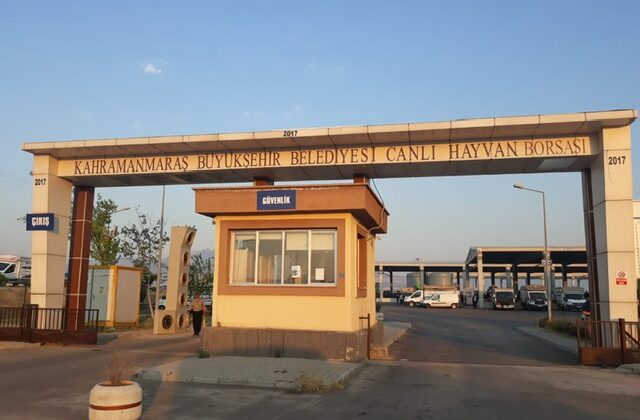 Canlı Hayvan Borsası’nda Padok Kiralama İşlemleri 27 Mayıs’ta Başlayacak