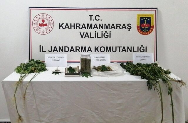 Kahramanmaraş’ta İzinsiz Kenevir Ekimi Yapan Şahıs Yakalandı