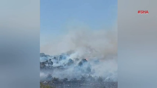 Pazarcık’ta orman yangını