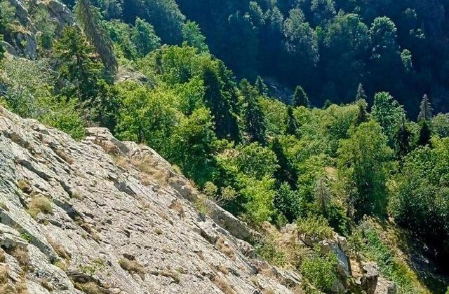 Kahramanmaraş’ta uçuruma düşen bir kişi aranıyor