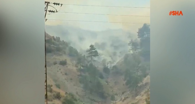 Kahramanmaraş’ta orman yangını