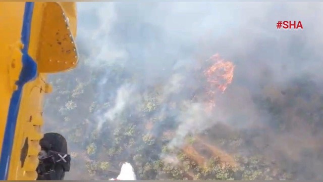 Ekinözü’nde orman yangını