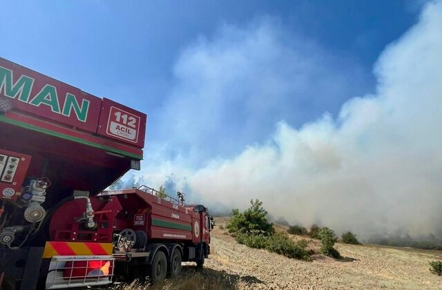 Kahramanmaraş’ta orman yangını