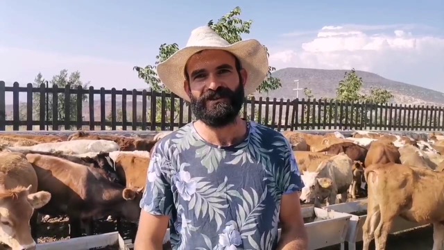 KAHRAMANMARAŞ’TA BÜYÜK VE KÜÇÜKBAŞ HAYVAN ÇİFTLİĞİ KURULDU