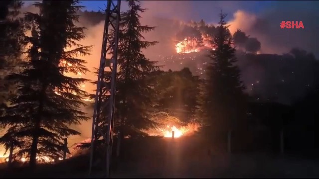 Kahramanmaraş’ta orman yangını