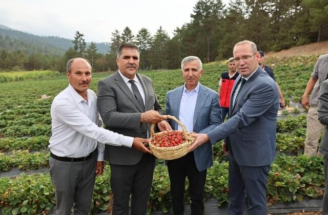 Türkoğlu Çilek Üreticileri Birliği’ne %75 Hibe ile Soğuk Hava Deposu Yapıldı