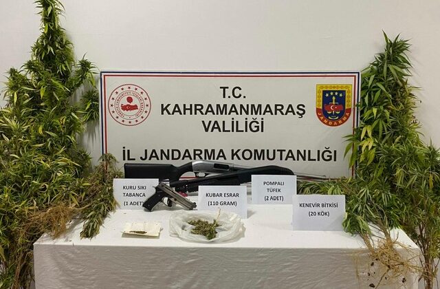 Kahramanmaraş’ta Kenevir Yetiştiriciliği Operasyonu: Uyuşturucu ve Silah Ele geçirildi