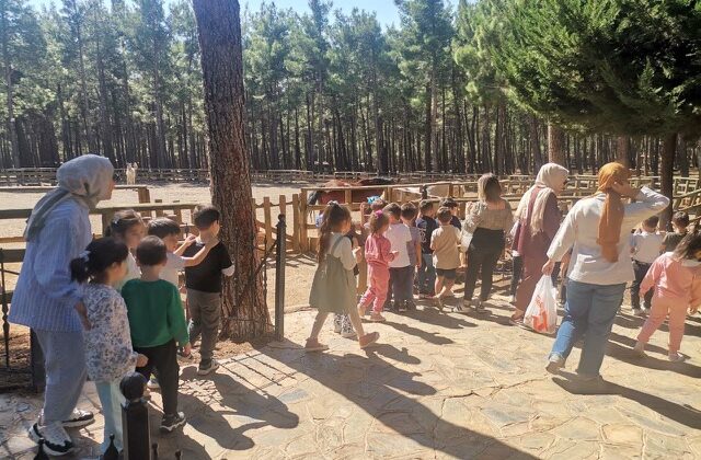 Öğrencilerin hayvan sevgisi