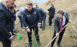 Çağlayancerit Belediye Başkanı Yemliha Göktaş, 11 Kasım Milli Ağaçlandırma Günü’nde Fidan Dikti