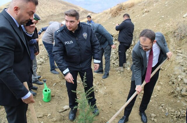Çağlayancerit Belediye Başkanı Yemliha Göktaş, 11 Kasım Milli Ağaçlandırma Günü’nde Fidan Dikti