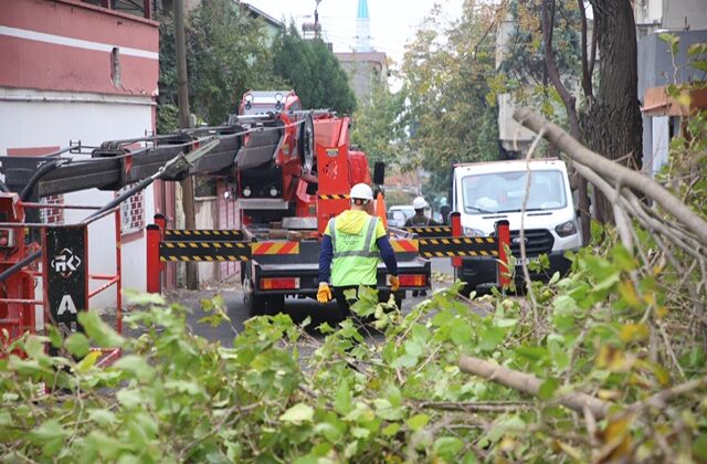DULKADİROĞLU BELEDİYESİ’NDEN YEŞİL ALANLARA TAM DESTEK