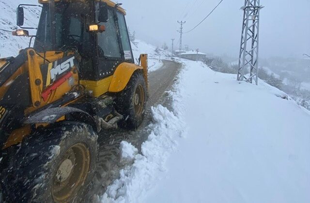 Büyükşehir, Şehir Genelinde Kar Mesaisinde