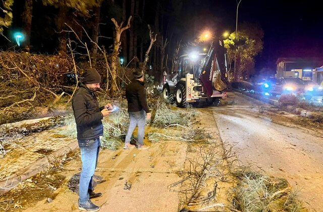 Türkoğlu Belediyesi’nden Fırtına ve Kuvvetli Rüzgâra Hızlı Müdahale