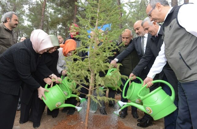 11 Kasım Milli Ağaçlandırma Günü’nde Kahramanmaraş’ta 4.000 Fidan Toprakla Buluşturuldu