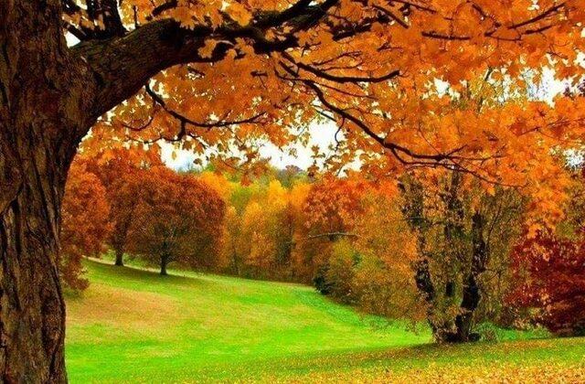 Kahramanmaraş’a fotoğraf sanatçıları akın etti