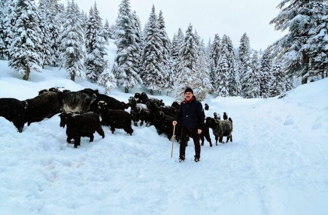 Kahramanmaraş’ta kar etkili oldu