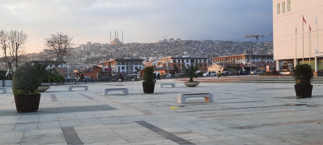 Milli İrade Meydanı Yeniden Yeşillendirildi