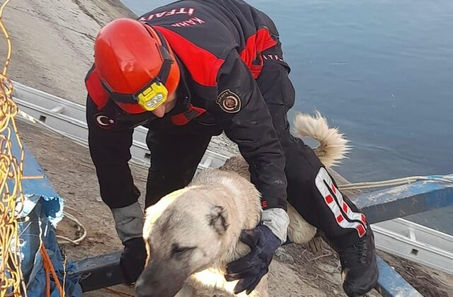 Kahramanmaraş’ta su kanalına düşen köpeğin imdadına itfaiye ekipleri yetişti