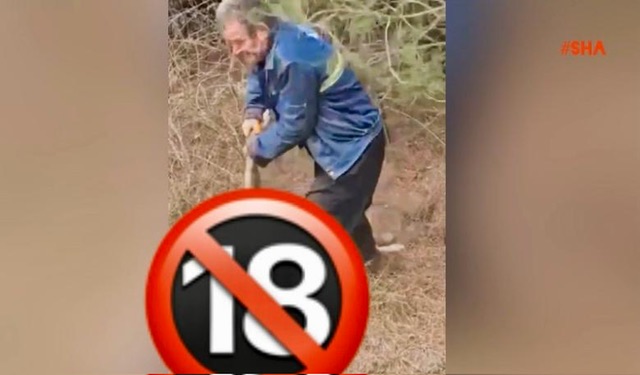 Andırın’da Toplu Köpek Ölümleri Tepki Çekti