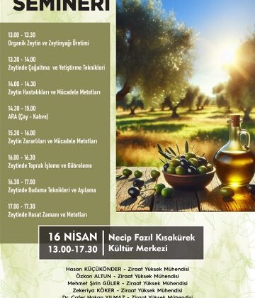 Zeytin Üretimine Bilimsel Dokunuş; Zeytin Yetiştiriciliği Semineri Düzenlenecek