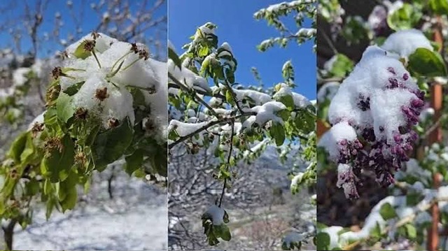 Milletvekili Zuhal Karakoç Dora’dan Don Felaketi Sonrası Geçmiş Olsun Mesajı