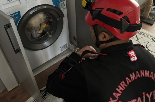 Kahramanmaraş’ta çamaşır makisinde kedi operasyonu