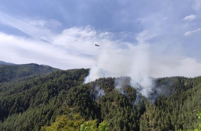 Kahramanmaraş’ta orman yangını