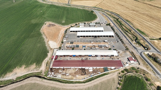 Canlı Hayvan Borsası’nda Kurban Satış Yerleri Kiralama İşlemi 15 Mayıs’ta Başlayacak