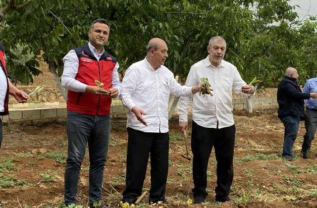 MADO, 2025’in İlk Salep Hasadını Gerçekleştirdi: “Kahramanmaraş’ı Salep Üretiminin Merkezi Yapacağız”