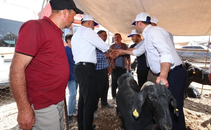 Başkan Hanifi Toptaş’tan Esnaf ve Kurbanlık Satıcılarına Bayram Ziyareti