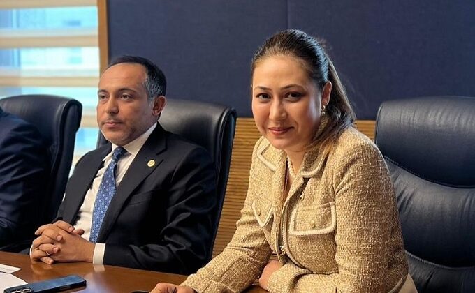 Milletvekili Zuhal Karakoç Dora, İki Komisyona Yeniden Sözcü Seçildi