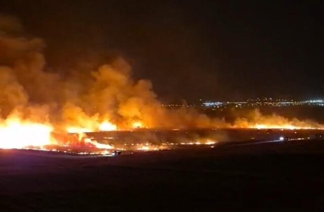 Kahramanmaraş’ta anız yangını gündüze çevirdi