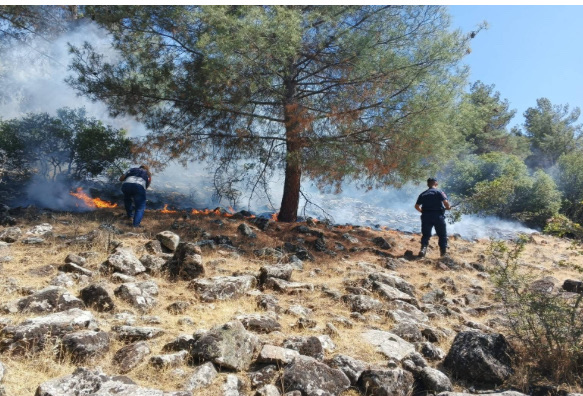 Pazarcık’ta Orman Yangını Jandarma ve Orman Ekiplerinin Müdahalesiyle Söndürüldü