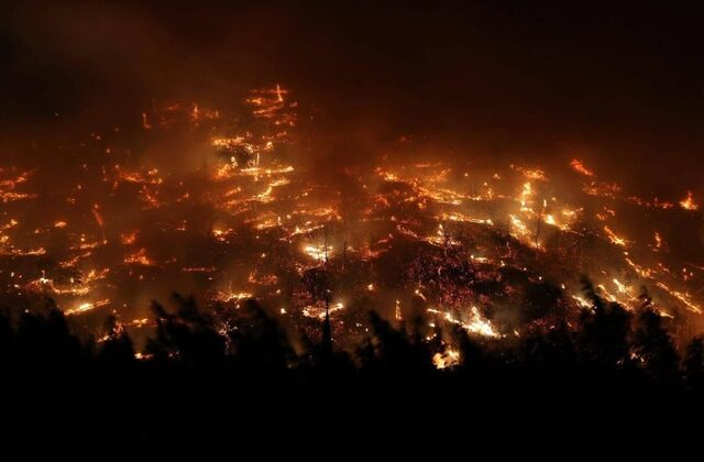 Ali Öztunç: “Orman Yangınına Havadan Müdahale Şart”