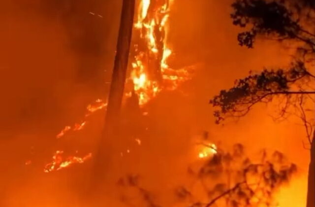 Kahramanmaraş Orman Bölge Müdürlüğü’nden Teşekkür ve Uyarı: “Son Ateş Sönene Kadar”