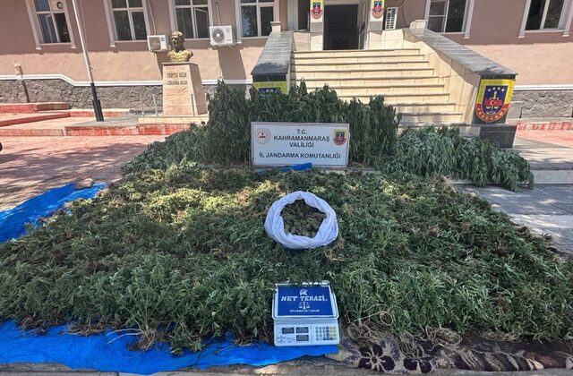 Jandarmadan Uyuşturucu Operasyonu: 4 Kişi Tutuklandı