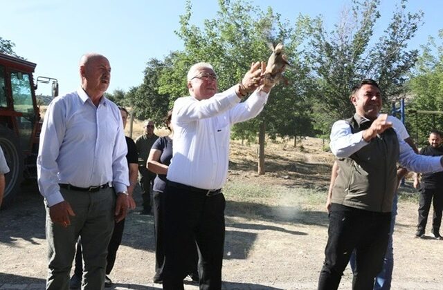 Pazarcık’ta Doğayla Uyumlu Kene Mücadelesi: Kınalı Keklikler Doğaya Salındı