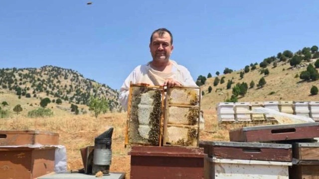 Kahramanmaraş’ın 2000 Rakımlı Dağlarında Bal Sağımı Başladı