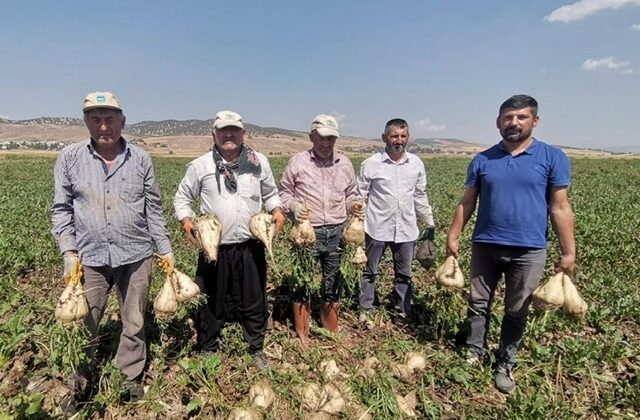 Depremzede çiftçiler pancar üretiminde devrim yaptı