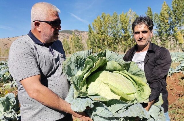 Kahramanmaraş’ta ‘Devler’ yola çıktı