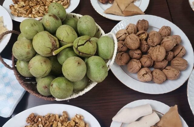 Kahramanmaraş’ta coğrafi tescilli ceviz ihracatı başladı