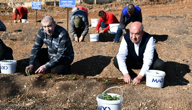 MADO’dan Salep Yetiştiriciliğine Büyük Destek
