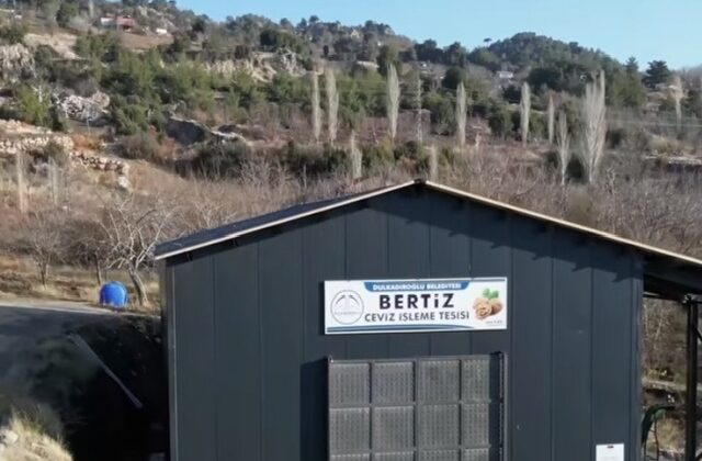 Dulkadiroğlu Belediyesi’nden Tarıma Büyük Destek: Ceviz İşleme Tesisi Hizmete Hazır