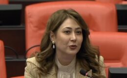 Karakoç’tan TBMM’de Kamu Mühendisleri İçin Düzenleme Çağrısı