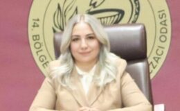 Eczacılar 5 Aydır Suriyeli Mülteci Reçete Bedellerini Alamıyor