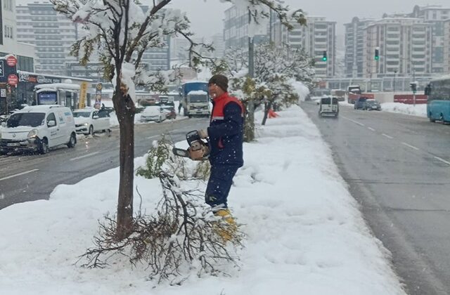 Büyükşehir Kış Mesaisini Sürdürüyor; Kırılan Dallara Anında Müdahale