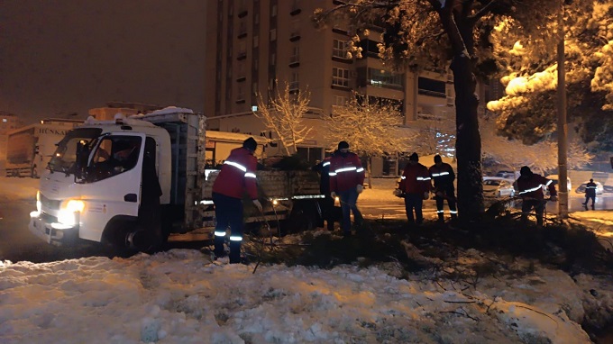 Yoğun Kar Yağışıyla Kırılan Ağaç Dallarına Hızlı Müdahale