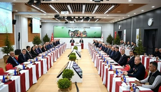 KAHRAMANMARAŞ VALİSİ ÜNLÜER, ORMAN YANGINLARI KOORDİNASYON TOPLANTISI’NA KATILDI