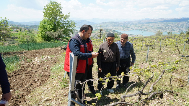Büyükşehir’den Bertiz’de Kabarcık Üzümüne Doğal Koruma Hamlesi