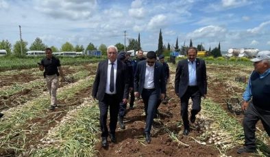 Pazarcık’ta Sarımsak Hasadı Başladı: Başkan İkizer Üreticilerle Tarlaya İndi